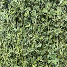 烘乾紫花苜蓿草, 1個