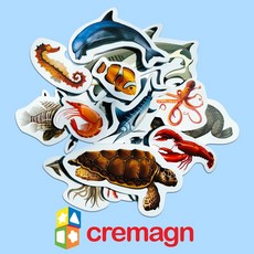 크레망 그림자석퍼즐 바다 자석놀이 학습교구, 그림자석_바다