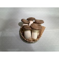 팜n팜 친환경 새송이 버섯, 1박스, 새송이 특 1kg