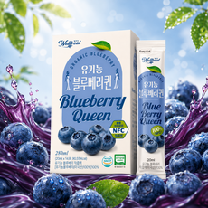 블루베리퀸 유기농 블루베리 착즙액 NFC 14포, 280ml, 1박스