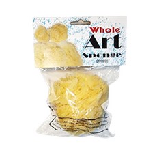 천연해면 (거친) 10~11cm 1개입 미술놀이 W82-11, 본상품