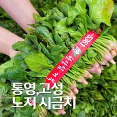 해풍맞고 자란 남해안 노지 시금치 1단 700g 내외, 1개