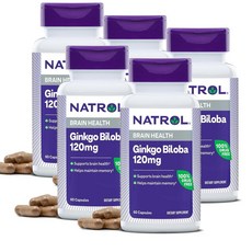 나트롤 징코 빌로바 120mg Natrol Ginkgo Biloba, 5개, 60정