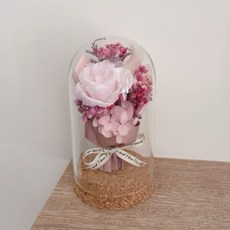 許願瓶花束 永生花夜燈 花束玻璃罩 告白花束 玻璃罩永生花 永生玫瑰 滿天星 兔尾草 情人節 畢業季 聖誕節, 粉紅色