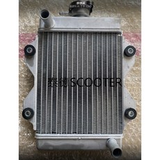 PGO TIGRA 彪虎 125 150 水箱總成 主水箱, 1個