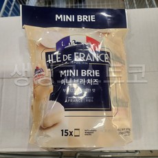 일드프랑스 미니브리 부드럽고 크리미한맛 코스트코 (아이스박스), 25g, 15개