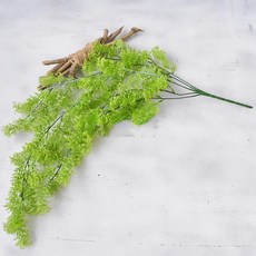 仿真鳥窩草壁掛 綠色植物壁飾 苔蘚藤條藤蔓葉子 香草壁掛 仿真綠植裝飾 園藝裝飾, 白色, 1個