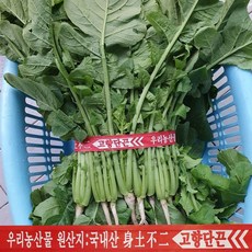 단끈 농산물 묶음끈 야채 부추 열무 모종끈 결속끈 철심끈, 500개, 50cm