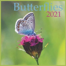 2021 Butterflies: 2021 Wall & Office Calendar 12 Month Calendar Paperback, Independently Published