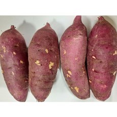 아빠의 마음 세척 꿀고구마, 10kg (특상품), 1개
