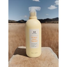 모헬스 허니 트리트먼트 노워시 허니 트리트먼트 고농축 영양성분 끈적임없이 부드럽고 산뜻하게 번거로움은 줄이고 효과는 높이고!!, 1개, 530ml