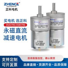 正科電機 減速馬達 12V/24V 直流減速馬達 偏心軸, 1個, 24v33轉/每分鐘