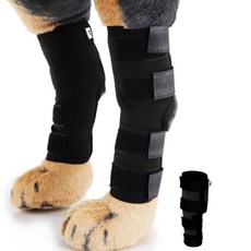 강아지관절보호대 S 레드 슬개골탈구보호대 소형견, 없음