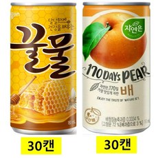 웅진꿀물캔 180ml(30캔) + 웅진자연은배 180ml(30캔), 60개, 180ml