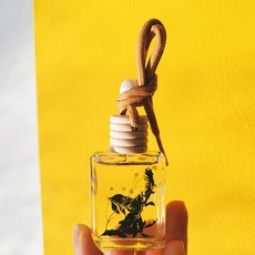 에인디 시그니처 디퓨저 (플라워 미니 디퓨저) 선물패키지, 하와이안피치, 1개, 10ml