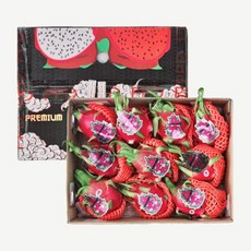 [다인푸른농장] 베트남 용과 총 5kg (9-10과), 9개