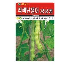 아람종묘 적색난쟁이강낭콩 씨앗, 1개