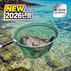 아트리빙스 뜰채 물고기 해루질 낚시 바다, 실버