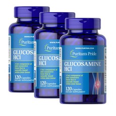 퓨리탄스프라이드 글루코사민 설페이트 1000mg 캡슐 Puritans Pride Glucosamine Sulfate, 3개, 120정
