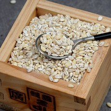 채운_늘찰보리 1kgx2, 2개