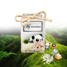 마리모 키우기 세트(DIY) 유리병 반려식물 꾸미기, 1개