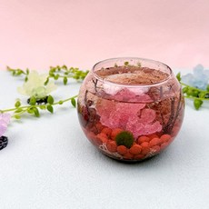 미니 마리모 어항 이끼 집꾸미기 세트 행운식물 수경재배, 1개