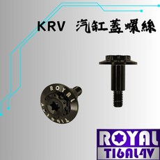 ROYAL鈦合金 KRV專用缸蓋螺絲 M6*25 P1.0 雪花頭 64鈦/鈦合金螺絲 出貨附發票 帝王黑, 1個, 25