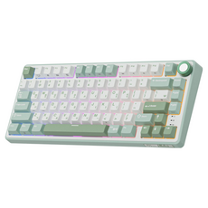 로얄클루지 RKR75 RGB 기계식 유선 키보드, 제조사축, 크림축, 스카이 그린