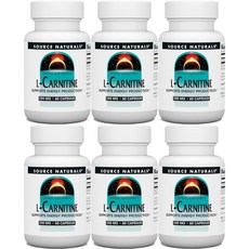 소스내추럴스 엘 카르니틴 250mg 캡슐, 6개, 60개