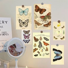 인테리어 포스터 세트 모음 감성 엽서 빈티지, 나비