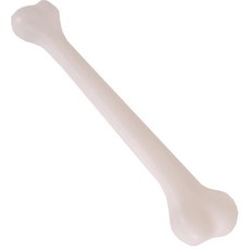 할로윈 장식소품 공포뼈다귀모형(대) 할로윈파티장식rla6+5CKO