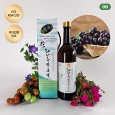 (특허상품) #포도# 전통항아리에서 자연발효 배양하여 '면역력은 높이고 노화를 낮추는' 해나루 포도 발효액 750ml [원산지:국산(충청남도 당진시)], 1개