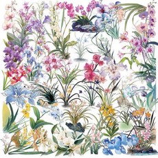 2 50피스 꽃 스크랩북 스티커 키트 부케 PET 투명 방수 세트 저널 물병 휴대폰 노트북 데칼 레진 공예 장식 (부케), 난초