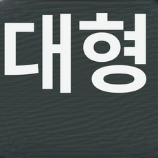 리리아누 물놀이에어바운스 대형에어바운스, 1개, 두꺼운 소재 불가사리 2m