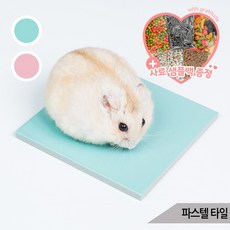 파스텔 타일 햄스터 대리석 소동물 깔개 쿨매트, 민트
