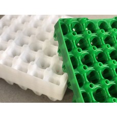 유지 30구 방지 플라스틱 계란판 양계장 튼튼한 택배 받침대 상태 도구 포장, 녹색, 1개