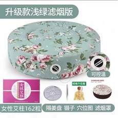 【】艾灸蒲團坐墊坐灸儀美容院熏蒸儀器艾灸盒隨身灸家用臀部艾炙器具 8HJZ, 大號控溫清新綠+女性162艾柱五件套, 1個