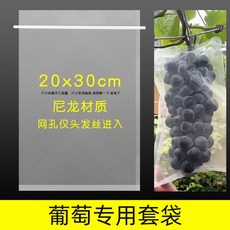 재배봉지 샤인머스켓 포도 사과 망고 복숭아 딸기 보호 방풍 20매 50애 100매, A. 20x30cm / 20 흰색 투명