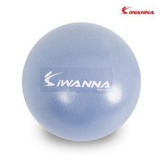 아이워너 라벤더 피트니스 작은 스트레칭 짐볼 헬스 미니 소형 90609EA 1(EA)