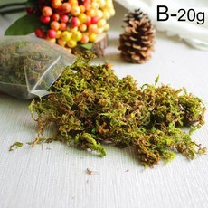20/50/100g 인공 이끼 시뮬레이션 Bryophyte 녹색 말린 잔디 센터 피스 홈 주방 웨딩 조경 장식, 3)B