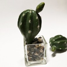 仿真多肉植物盆栽組合, M11仿真仙人掌, 1個