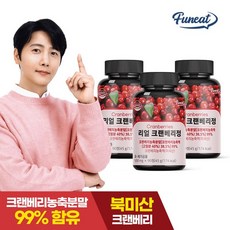 고농축 리얼 크랜베리정 3병 9개월분, 90정