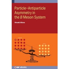 Particle-Antiparticle Asymmetry in the ���� Meson System Hardcover, IOP Publishing Ltd, English, 9780750336499