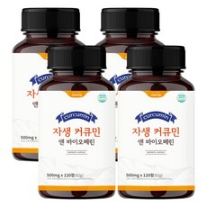 자생 커큐민 앤 바이오페린, 4개, 120정