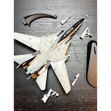 프라모델/ 전투기 모형 F-14 톰캣 해적 깃발 상징 F14A/합금, 100 스케일 해적 깃발 상징 F14A
