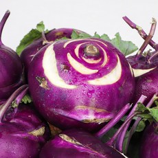 제주 콜라비 정품 로얄과, 1개, 4.5kg