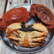 마몰라 크랩 3미(3kg내외) 프레미엄 식재료, 3개, 1kg