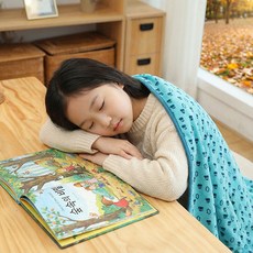 1+1겨울이불 보들보들 극세사담요 블랭킷 무릎담요