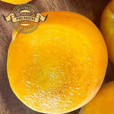 [신선보장 농가 직배송] 국내산 햇 살구 농가 직배송 수확 당도 보장, 1박스, 특품 2kg