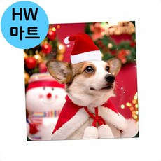 반려동물 고양이 강아지 귀여운 크리스마스 모자, 트리모자